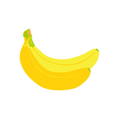 fresh bananas fruits healthy icons. Bunch of bananas isolated on white background . vector illustration