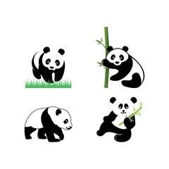 Obraz premium Panda icon