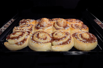 Obraz na płótnie Canvas Twelve cinnamon buns baking and rising on tray in electric oven: front view. Swedish cuisine, homemade bakery, food, cooking and pastry concept