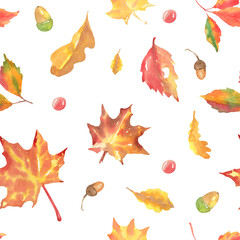 Watercolor pumpkin, figs, leaves seamless pattern isolated. Hand painted white botanical autumn floral illustration, pumpkin ornament for thanksgiving, halloween fabric, greeting card design,diy