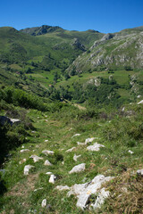 Fototapeta na wymiar High mountain panorama with forest and isolated houses on the mountainside on a sunny day.