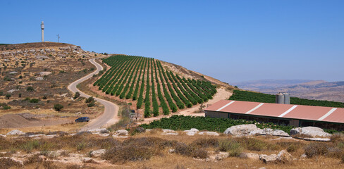 The viewpoint 