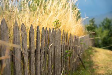 Grass Behind Fence, Rama Lake Bosnia