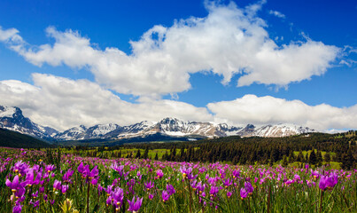 Mountain range in spring in Grand Tetons National Park	
