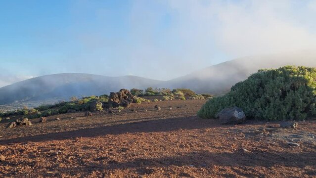 Paisaje con niebla y retama del Teide.