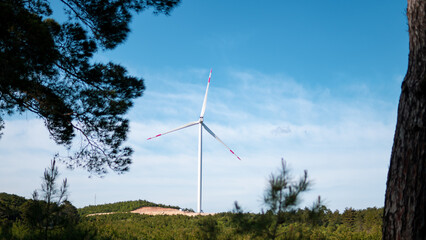 wind turbine in the field, wind turbine visible through the trees in the forest