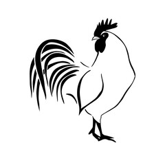 Rooster line. Hand drawn minimalism style. Vector illustration © Мария Неноглядова