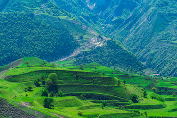 Fototapeta na wymiar mountain landscape with green terraced hay fields on the slopes