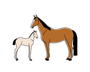 Mare and foal are standing quietly in the wild