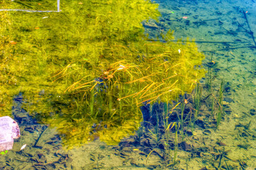 Great Pliva lake landscape during sunny autumn day.