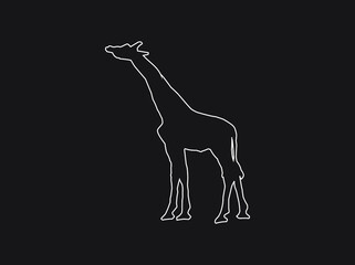 animals vector flat, mammals silhouette, giraffe simple flat icon.