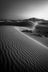 DUNES black and white
