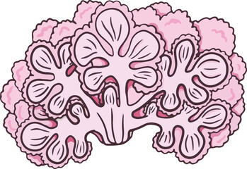 Cauliflower steak icons set vector illustration. Cabbage, garlic, cheese ingredients for great dinner delicious