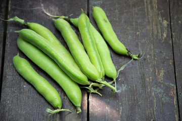 freshly picked green ripe fava beans