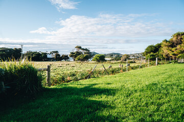 The view of Denison beach in Bicheno, Tasmania, Australia