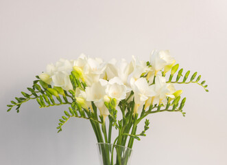 Closeup of white freesia flowers in glass vase against white background (selective focus)