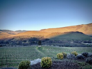 Looking over a winery in the Rogue Valley of Southern Oregon