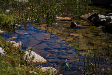 River in the Mountains of Inyo National Forest