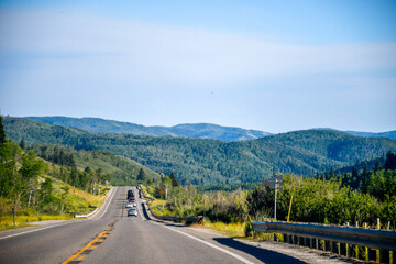 Fototapeta premium Pine trees and lovely nature scenic way, Logan Canyon, Utah