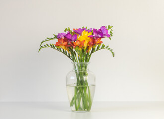 Closeup of colourful freesia flowers in glass vase on table against white background (selective focus)