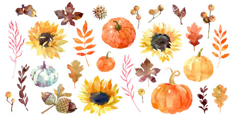 Watercolor autumn set: pumpkins and plants