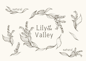 Lily of Valley frames