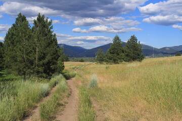Fototapeta na wymiar Dirt Trail Down a Steep Rocky Mountain in Montana During the Summer Season 