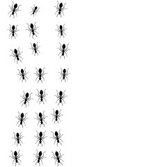 Ants trail set, lines of working ants on white background. Groups of insect marching or walking down the road. Insect colony, control disinfection, vector illustration