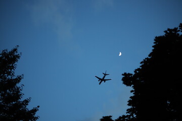 Airplane with moon on sky