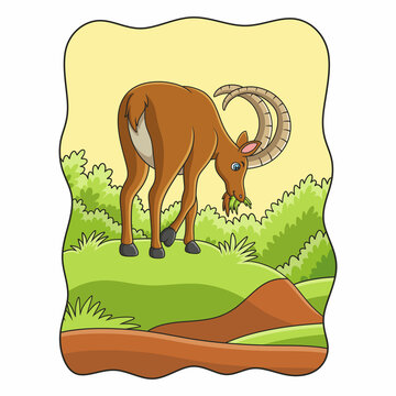 cartoon illustration an ibex walking in the middle of the meadow looking for food in the morning