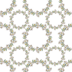 Seamless pattern watercolor circle frame border template for design. Wreath of flower chrysanthemum daisy chamomile and green leaves on white background. Hand-drawn summer plant. Copy space. Wedding