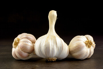 garlic on black background
