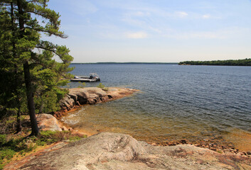 Summer landscape with lake and trees