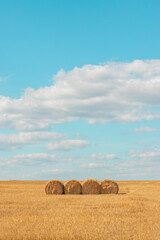 Beautiful landscape with bales of straw in sunny summer