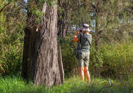 Australian photographer in the bush