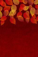 紅葉　和柄　秋　背景