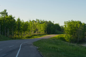 An Evening at Elk Island National Park