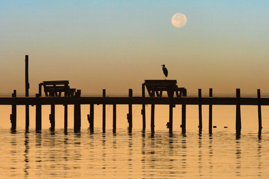 Alabama Moon