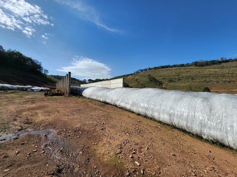 silagem, silo, alimento, gado, inverno