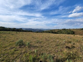 Campo, fazenda, pecuária, gado, boi, touro, vaca, 