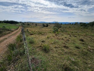 fazenda, campo para pecuária
