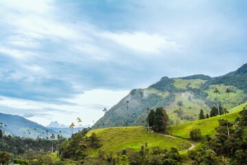 valle del Cocora