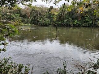 Rio, natureza, pescaria, 