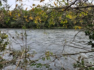 Rio, natureza, pescaria, 