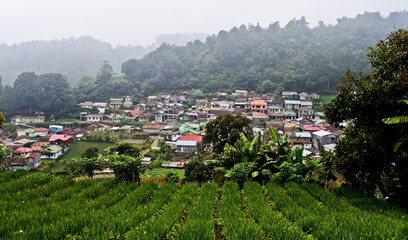 Natural scenery of peaceful village life in Cianjur, West Java. Indonesia.
Plantations, farms, houses and large lands are beautiful spots for photos
