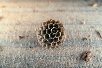 Abandoned small honeycombs close-up. The most perfect wax building