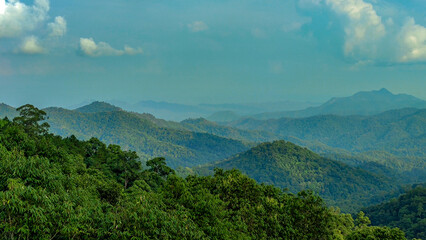 View of forest at the mountains