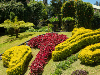 Nuwara Eliya, Sri Lanka - March 10, 2022: View of the territory of the Grand Hotel with landscaping. Bright multi-colored bushes are planted for beauty