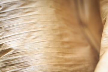 Texture background backlight cinnamon dry leaf. Closeup background of beige banana leaf use space for text or image design. dry paper