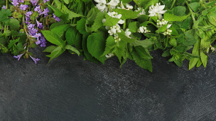 Edible plants and flowers on a dark background.